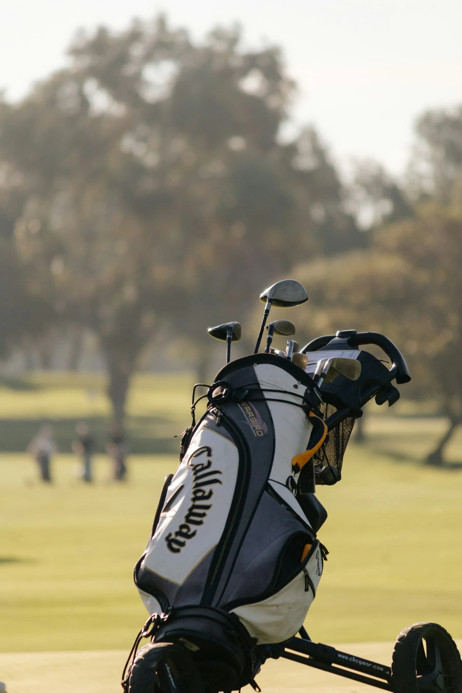 Golf clubs in a bag on a sunlit fairway